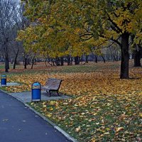 Осень в городском парке :: Игорь Белоногов