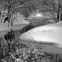 Зима на московской речке Городне. :: Борис Бутцев