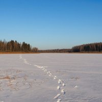Мой след на замёрзшем озере. :: Милешкин Владимир Алексеевич 