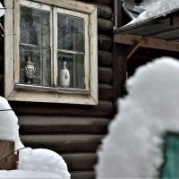зима за городом :: Алена Белинская