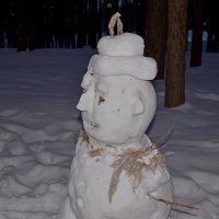 Снеговики бывают разные :: Сеня Белгородский