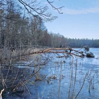 Январь на озере Швеция Скандинавия :: wea *