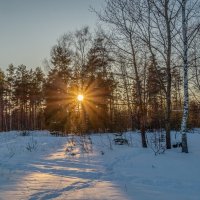 Мороз и Солнце Января # 02 :: Андрей Дворников