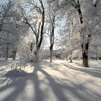 Мороз и солнце :: Андрей Заломленков (настоящий) 