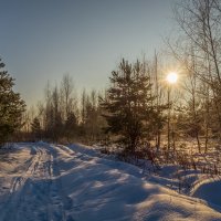 Мороз и Солнце Января # 03 :: Андрей Дворников