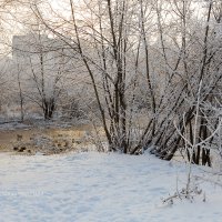 Морозный пейзаж с утками :: Александр Синдерёв