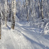 Намело снежку :: Василий Колобзаров