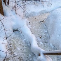 Замерзший ручей :: Сергей Цветков