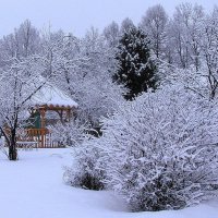 Сад после снегопада :: Людмила Смородинская