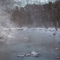 Белые Берега :: юрий поляков