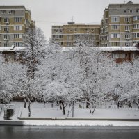 В снегу :: Игорь Протасов