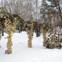 Сибирские пальмы :: Татьяна Лютаева