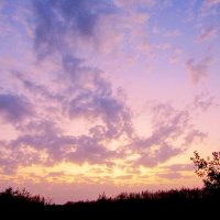 Закатное небо над полем :: Raduzka (Надежда Веркина)