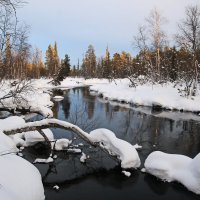 Морозно, тихо , снег лежит, ни ветерка. :: Ирина Нафаня