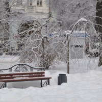 Зима не выпускает спиц из рук... :: Татьяна 