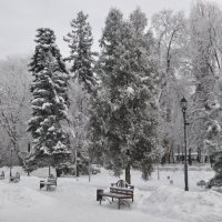 Зима в Кольцовском сквере :: Татьяна 