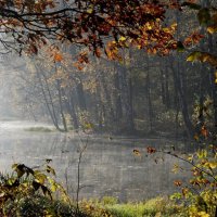 В тихой заводи..... :: Юрий Цыплятников