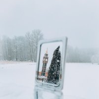 Однажды туманным зимним утром... :: Юля Жуковская