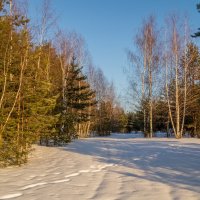 Морозное январское утро # 09 :: Андрей Дворников