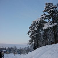 Красивая зима :: Вера Щукина