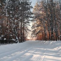 На поворотах января.. :: Андрей Заломленков (настоящий) 