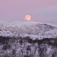 Лунный пейзаж :: Мария Васильева