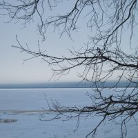 Январь. Финский залив :: Маера Урусова