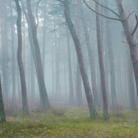 Arkadi Baranov. AKOLIT FOTOSTUUDIO :: Аркадий  Баранов Arkadi Baranov