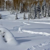 а просто зимний день :: Petr @+