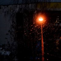 Одинокий фонарь. :: Василий Палий