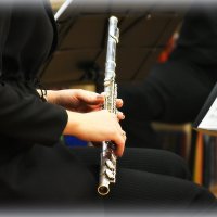 А вы любите флейту..? :: Александр Шимохин