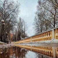 Лужа :: Юля Жуковская