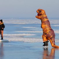 Встреча с Тиранозавром :: Анатолий Шулков