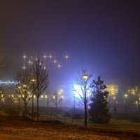 Звездочки в тумане :: Валерий VRN
