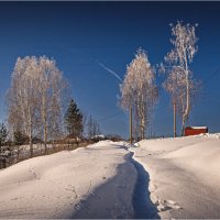 "Пробираясь снежной тропой"© :: Владимир Макаров