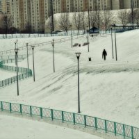 Ушёл январь своей дорогой. :: Татьяна Помогалова