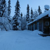 Зима в Лапландском заповеднике :: Ольга 