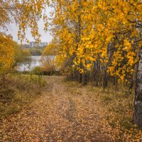 Московская осень... :: Владимир Жданов