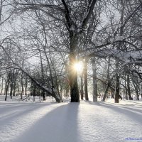 Пока ещё холодные рассветы.. :: Андрей Заломленков (настоящий) 