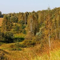 ОСЕНЬ В СЕНТЯБРЕ :: Валентина 