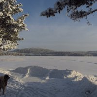Зима,озеро.под снегом. :: Галина Полина