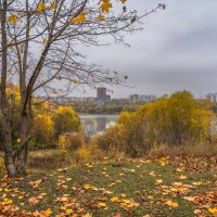 Московская осень... :: Владимир Жданов