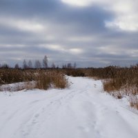 Зима - февраль. :: Милешкин Владимир Алексеевич 