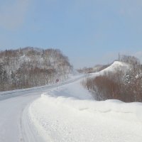 Зимняя дорога... :: Andrey Bragin 