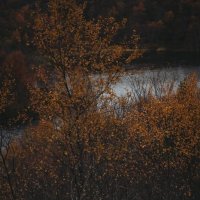 Осенний день на озере Сорока :: Сергей Семенков