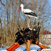 Виват мастеру создавшему такую красоту у родника! :: Восковых Анна Васильевна 