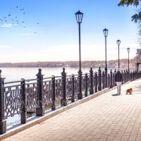 Прогулка с собакой :: Юлия Батурина