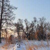Зимнее утро :: Юрий Кирьянов