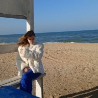 Море зимой :: Светлана Громова