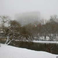 Туманный зимний день :: Нина Бутко